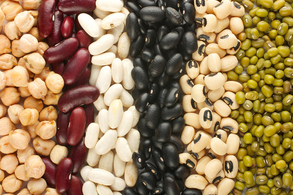 Dry Beans