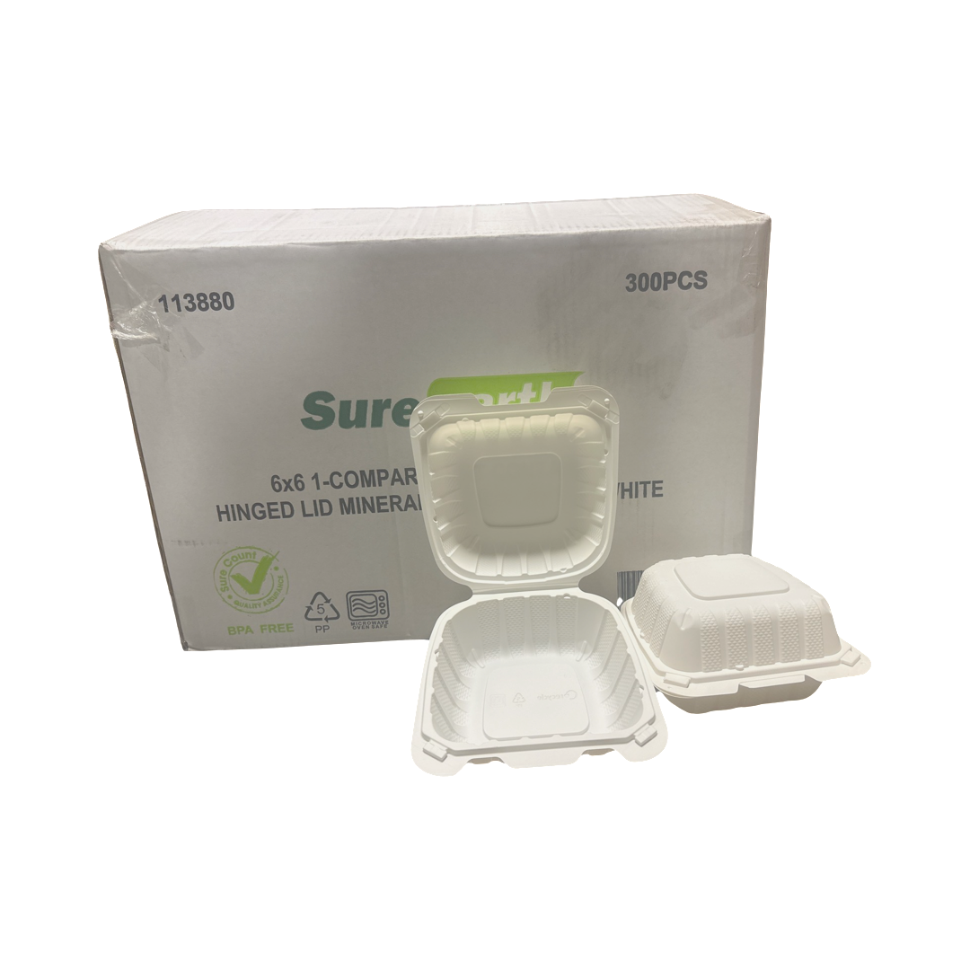 9X6 RECYCLEABLE WHITE HINGED CONT PP206