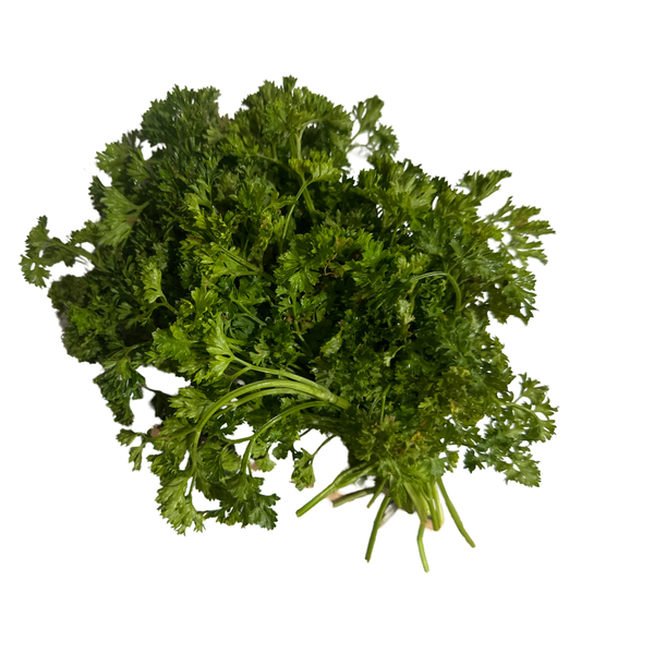 CURLY PARSLEY 60 COUNT