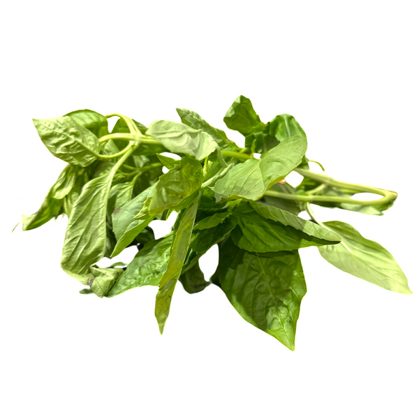 BASIL DOMESTIC BUSHEL FRESH