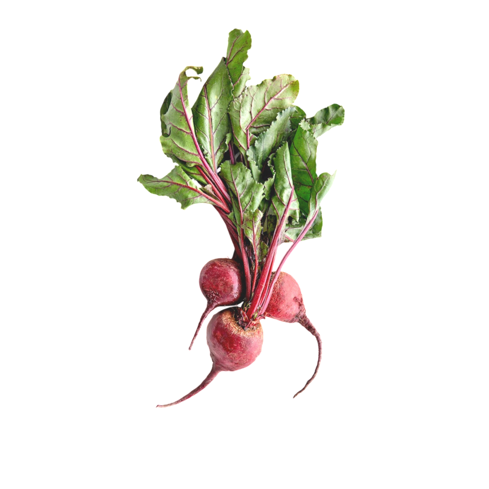 BEETS LOOSE 25LB