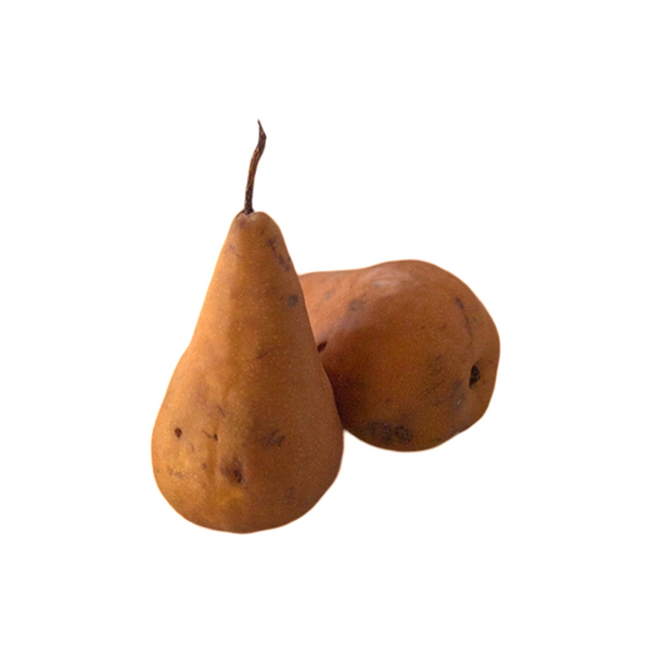 PEARS BOSC 80CT (BROWN)