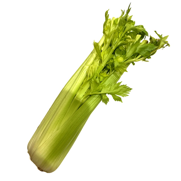 CELERY CALIFORNIA 6CT