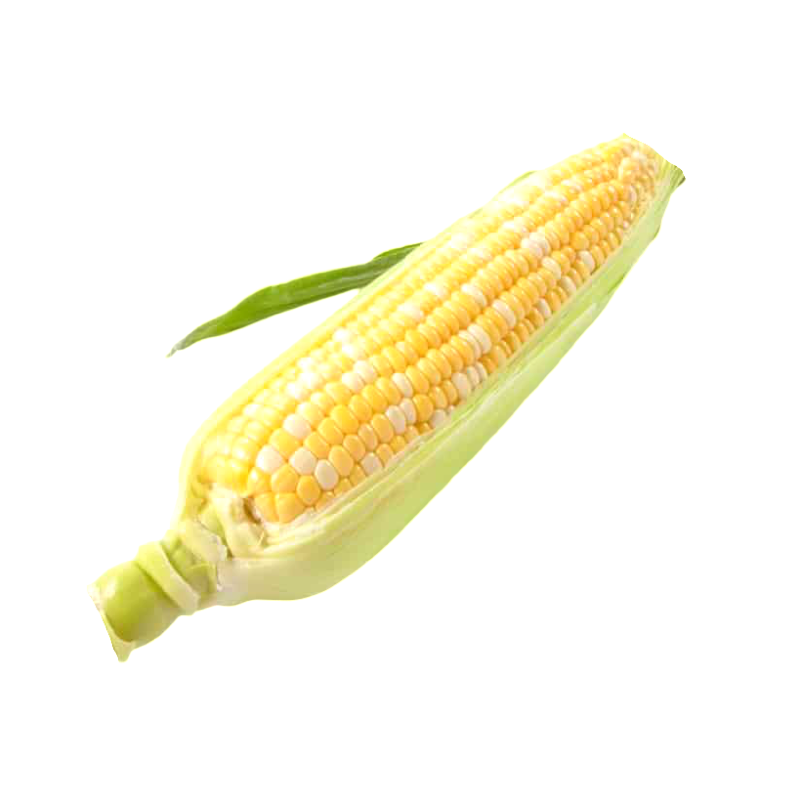 CORN ON THE COB FRESH