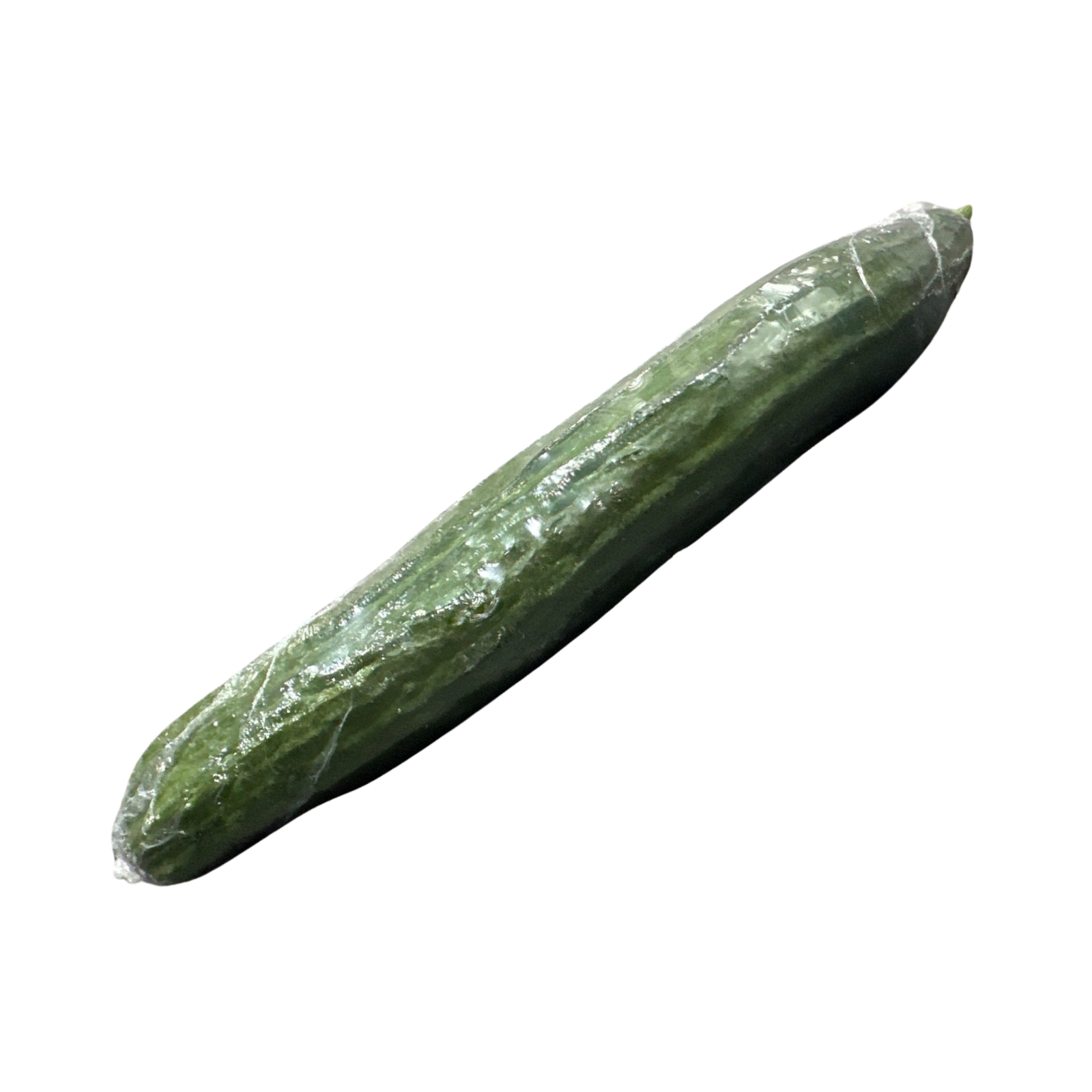 HOT HOUSE CUCUMBER