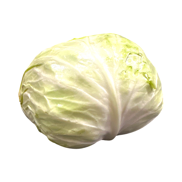 LETTUCE SPLIT 6 CT ICEBERG