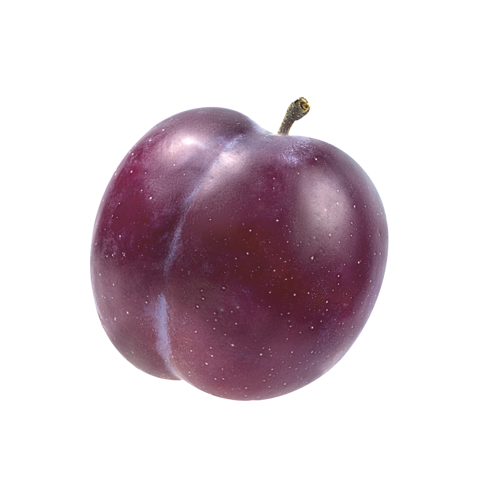 PLUMS FRESH 64 CT