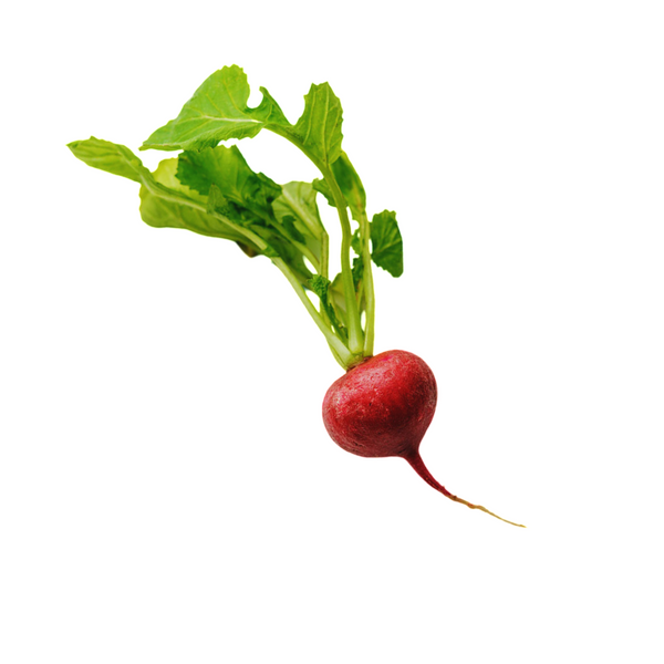 RADISH 6CT SPLIT