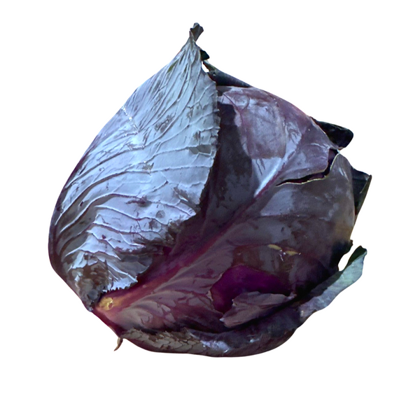 RED CABBAGE 2 HEAD SPLIT