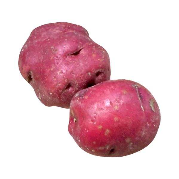 RED POTATOES A FLORIDA