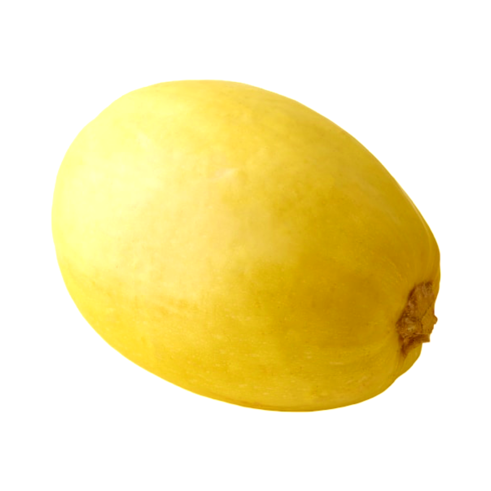 SPAGHETTI SQUASH