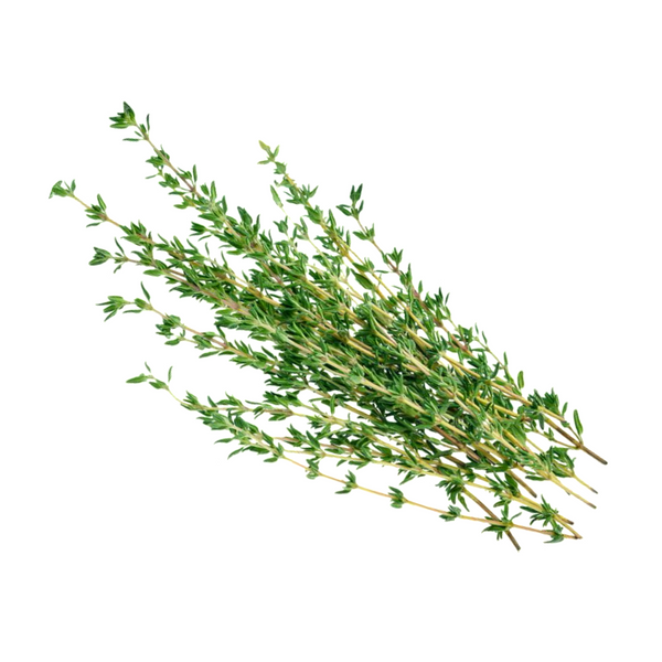 THYME KILO FRESH