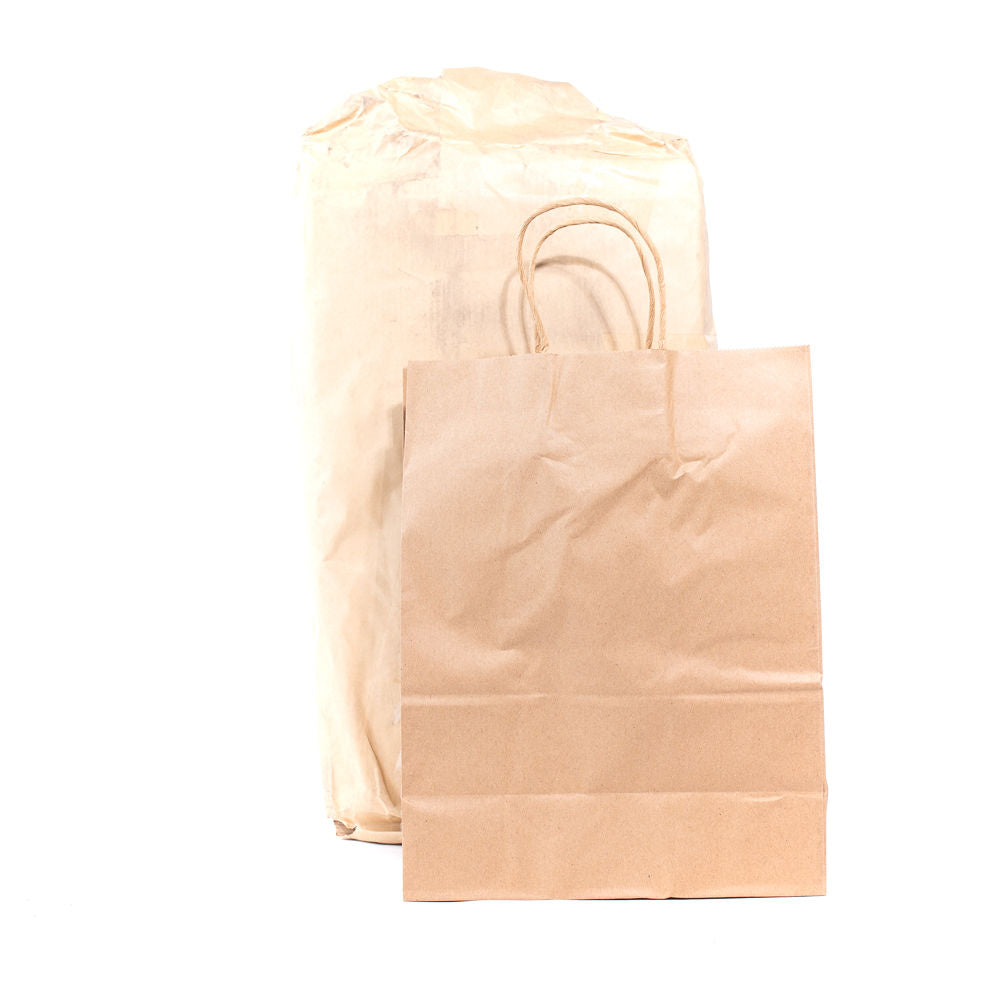 10X5X13 SHOPPING BAG KRAFT HANDLE